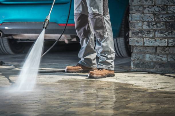 Best Driveway Cleaning and Restoration in Luckey, OH