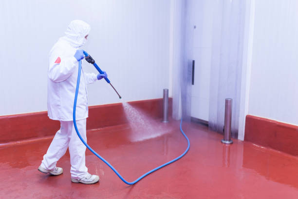 Best Pool Deck Cleaning in Luckey, OH